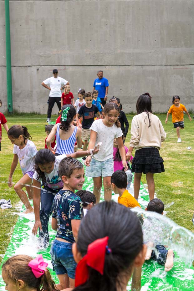 Ir a la Siguiente Foto