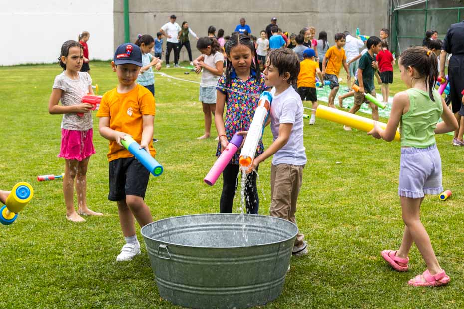 Ir a la Siguiente Foto