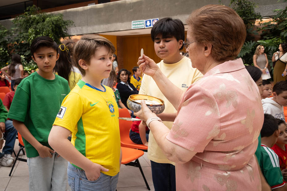 Ir a la Siguiente Foto