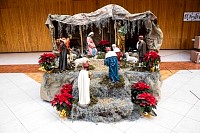 1212202512dic20254.jpg