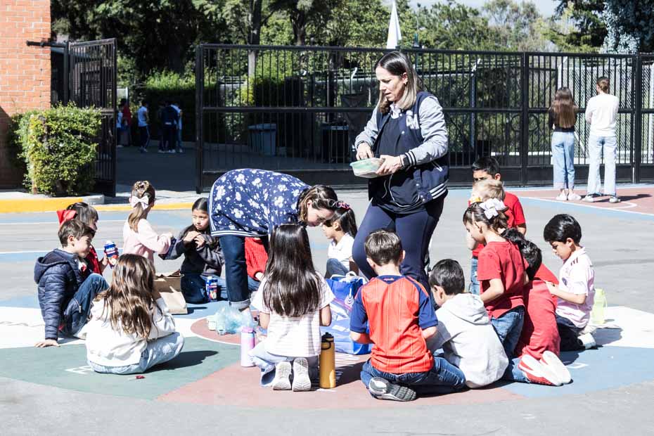 Ir a la Siguiente Foto