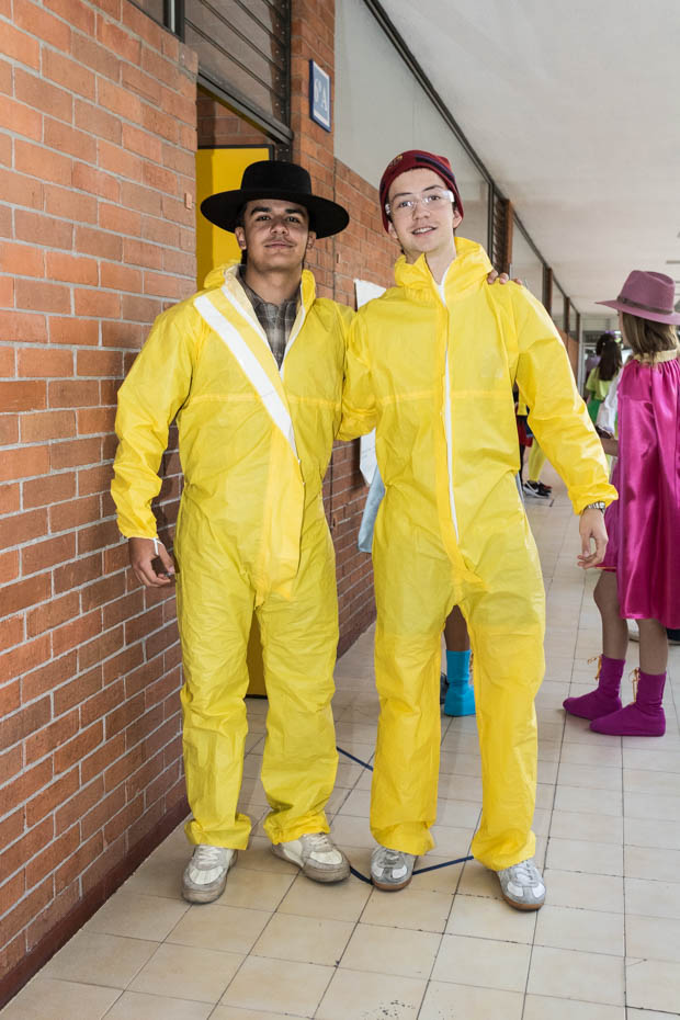 Ir a la Siguiente Foto