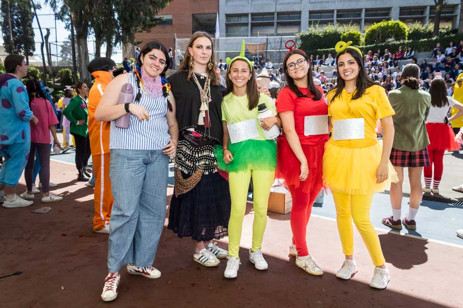 Ir a la Siguiente Foto