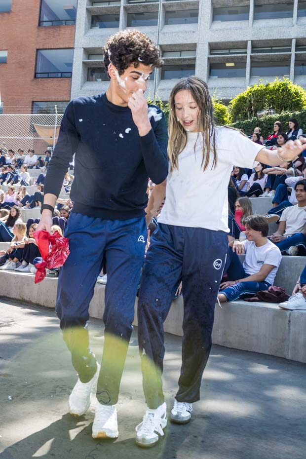 Ir a la Siguiente Foto