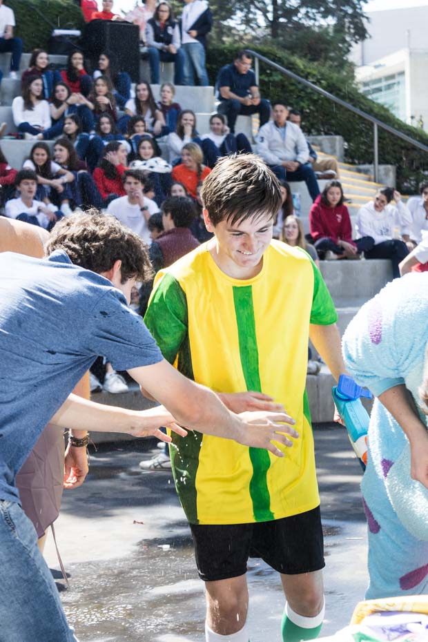 Ir a la Siguiente Foto