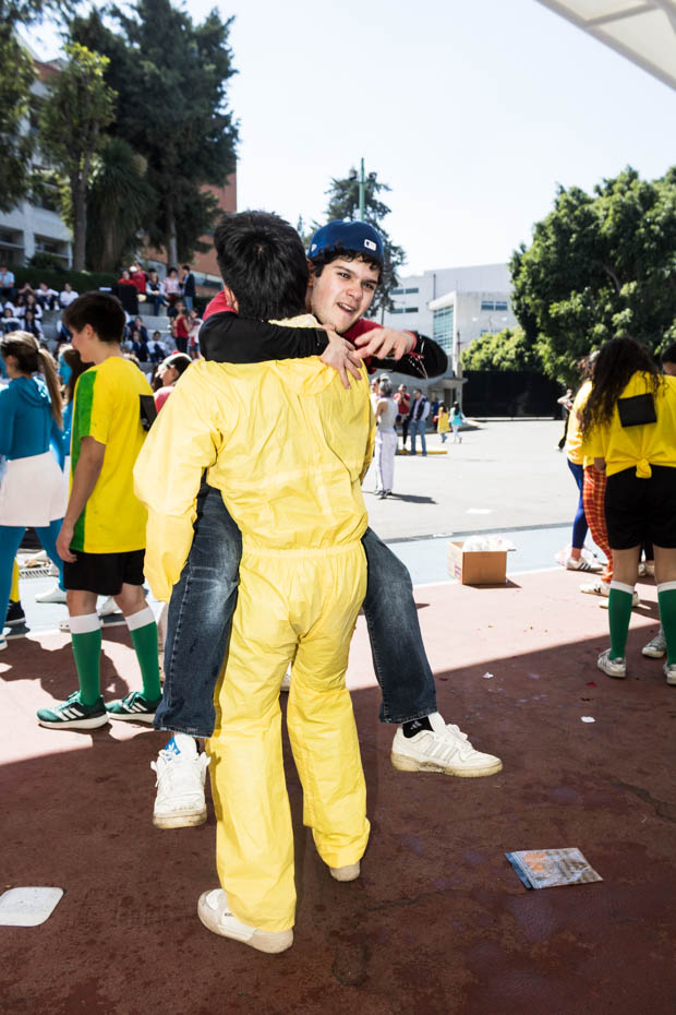 Ir a la Siguiente Foto