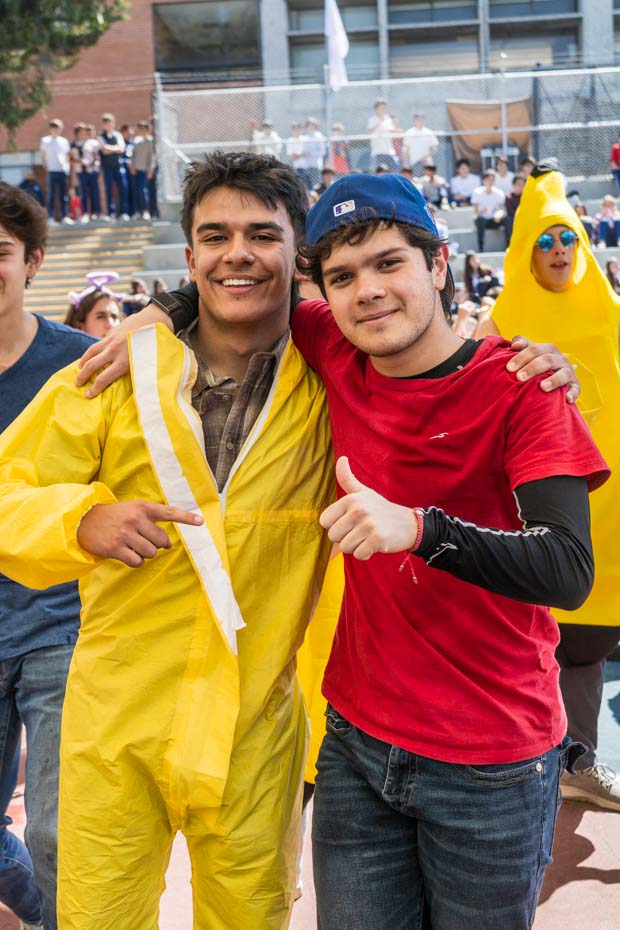 Ir a la Siguiente Foto