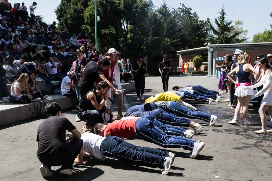 Ir a la Siguiente Foto