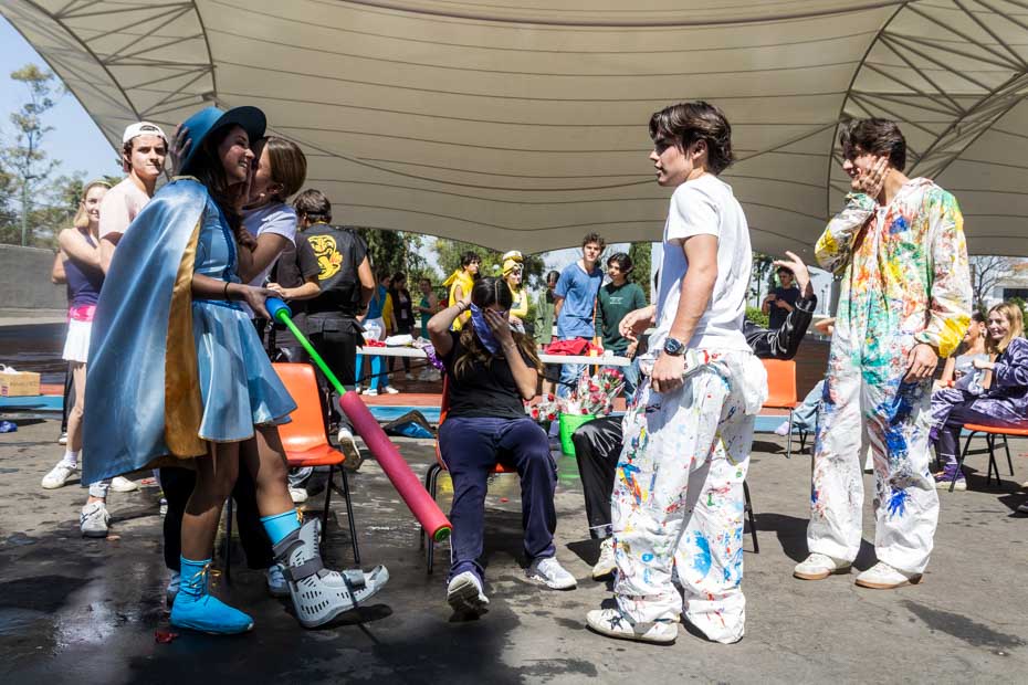 Ir a la Siguiente Foto