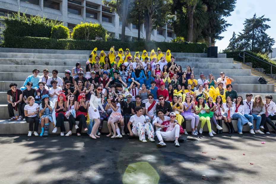 Ir a la Siguiente Foto