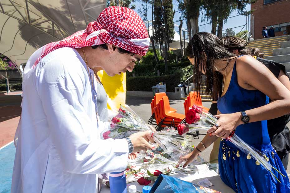 Ir a la Siguiente Foto