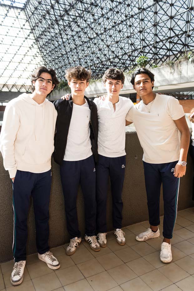 Ir a la Siguiente Foto