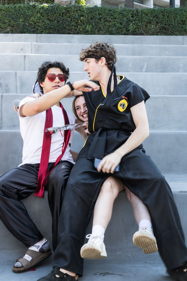 Ir a la Siguiente Foto