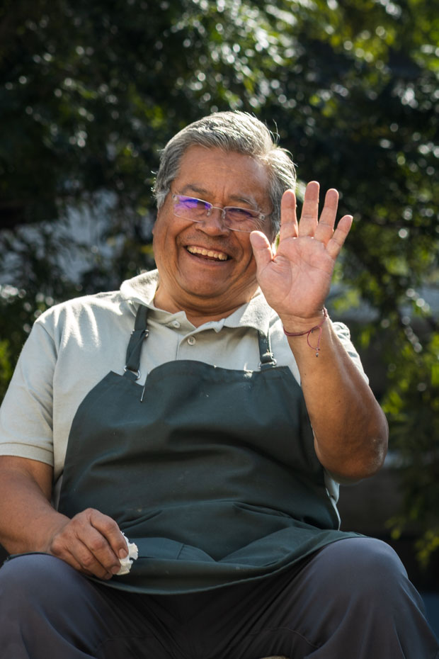 Ir a la Siguiente Foto