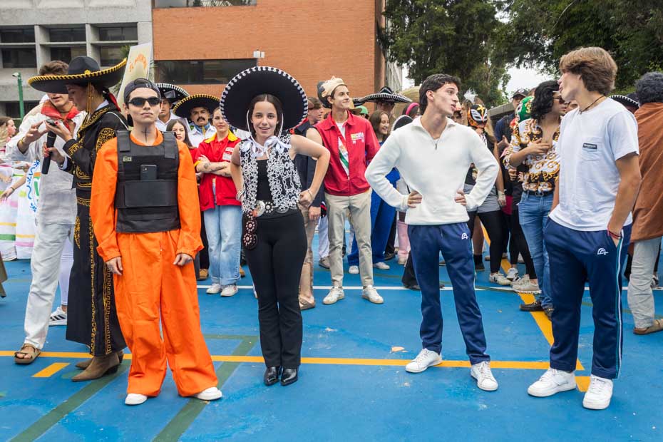 Ir a la Siguiente Foto