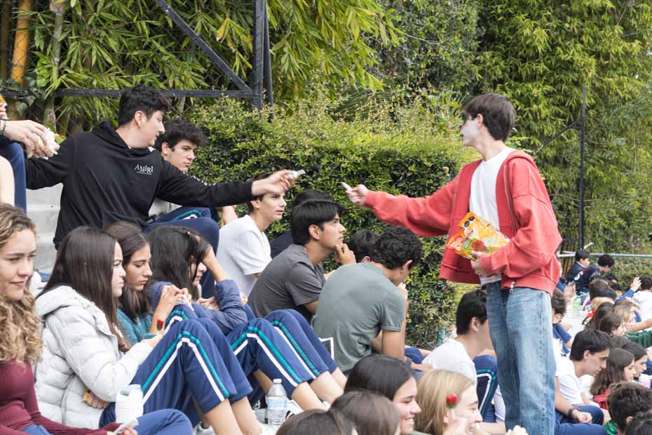 Ir a la Siguiente Foto