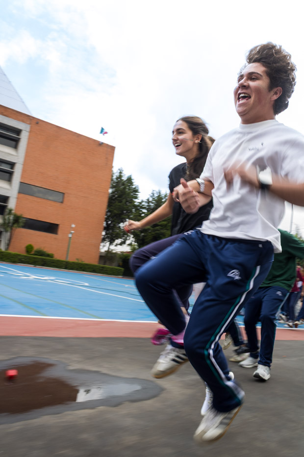 Ir a la Siguiente Foto