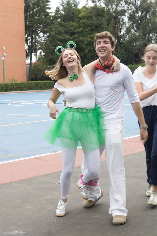 Ir a la Siguiente Foto