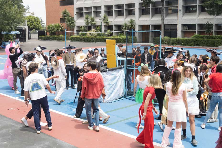 Ir a la Siguiente Foto