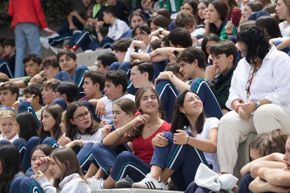Ir a la Siguiente Foto