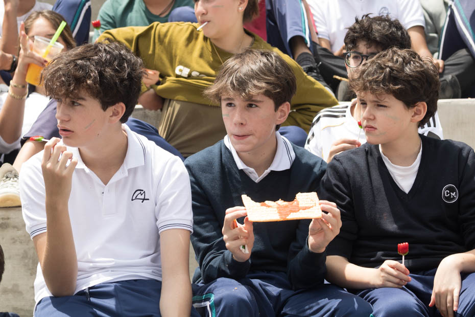 Ir a la Siguiente Foto