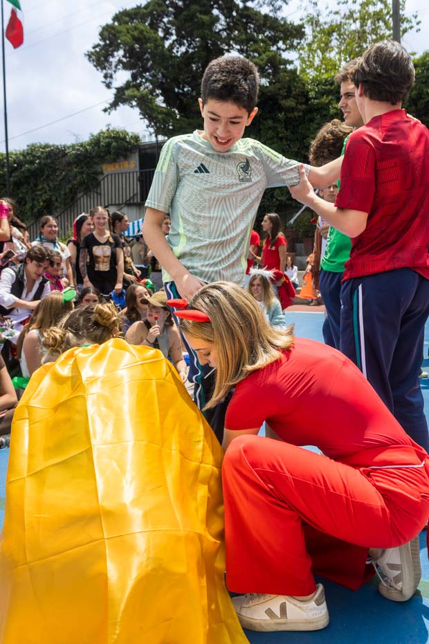 Ir a la Siguiente Foto