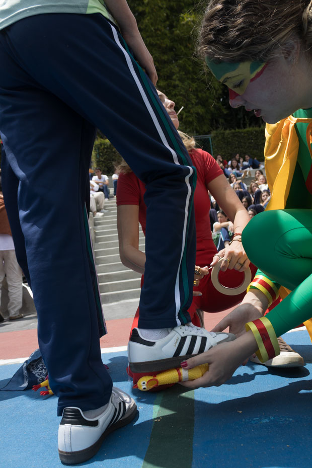 Ir a la Siguiente Foto