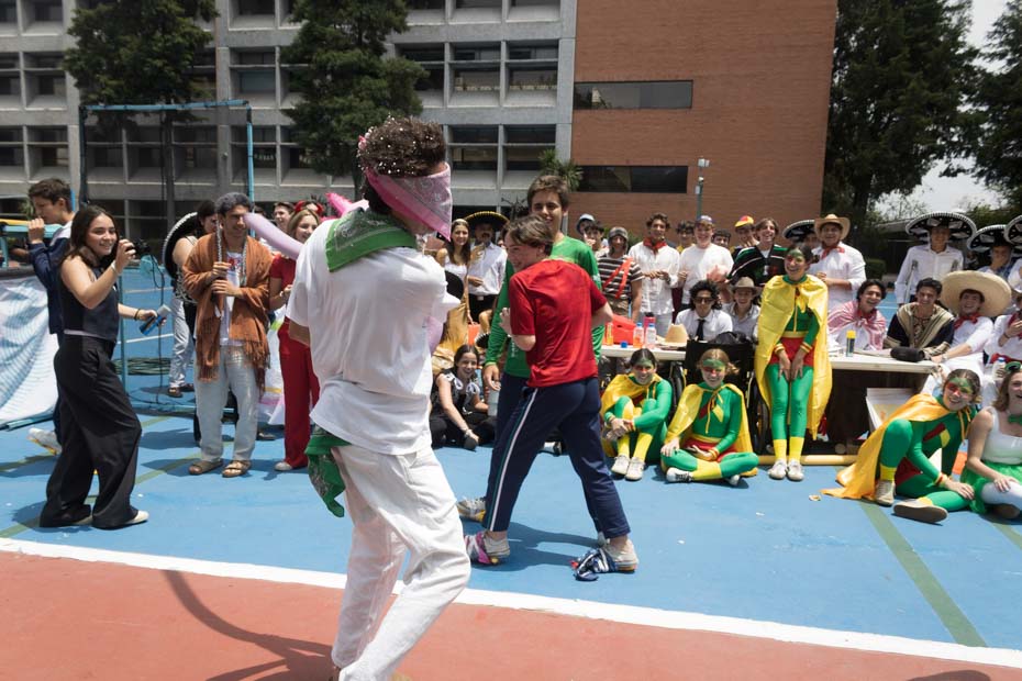 Ir a la Siguiente Foto