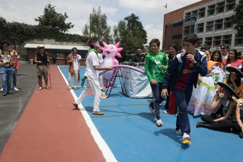 Ir a la Siguiente Foto