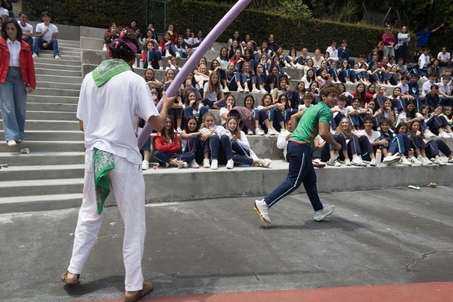 Ir a la Siguiente Foto