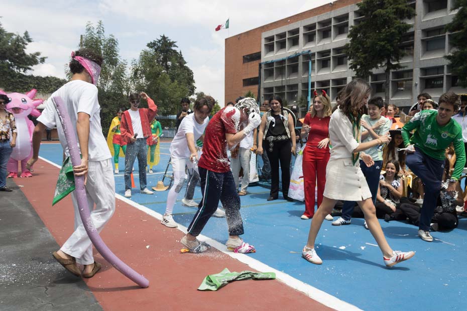 Ir a la Siguiente Foto