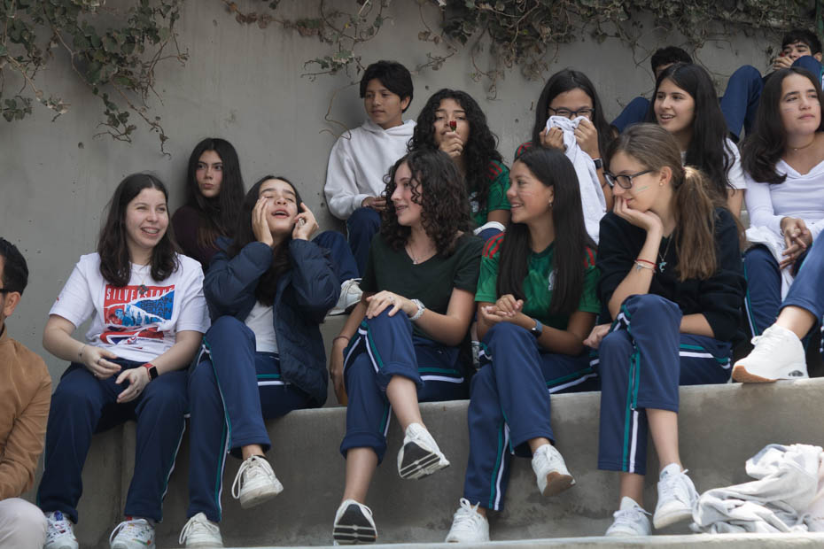 Ir a la Siguiente Foto