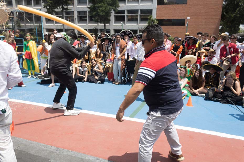 Ir a la Siguiente Foto