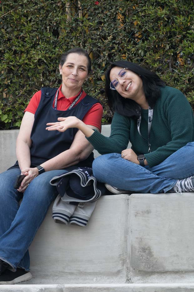 Ir a la Siguiente Foto