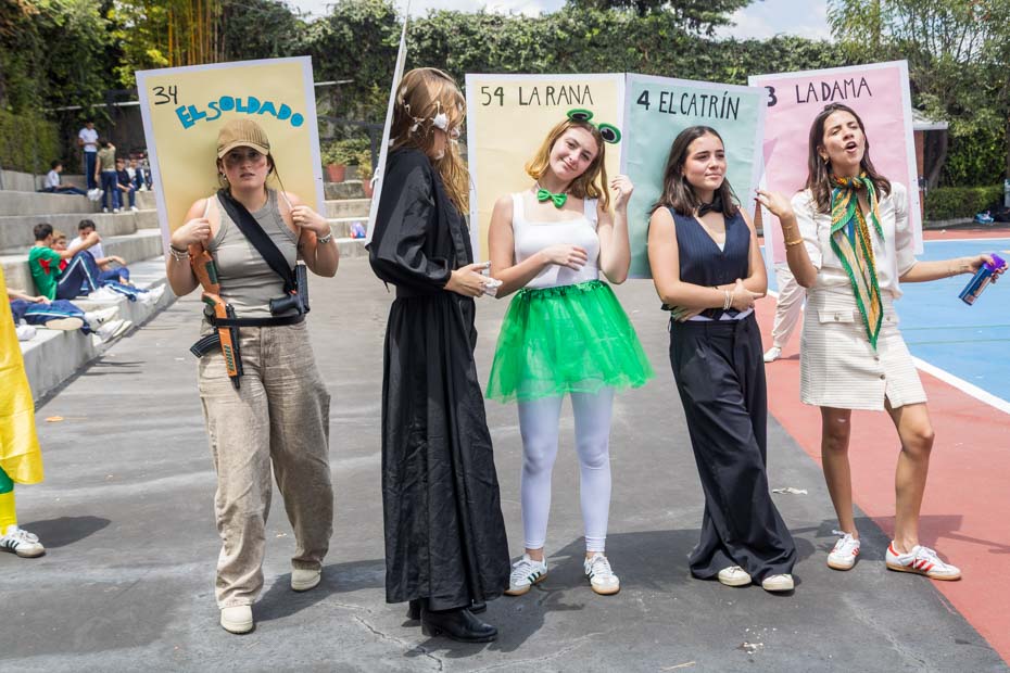 Ir a la Siguiente Foto