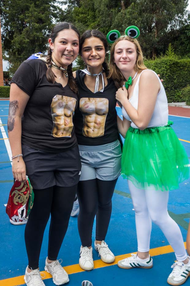 Ir a la Siguiente Foto