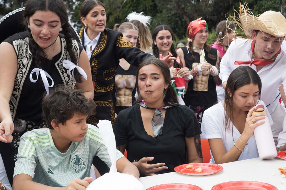 Ir a la Siguiente Foto