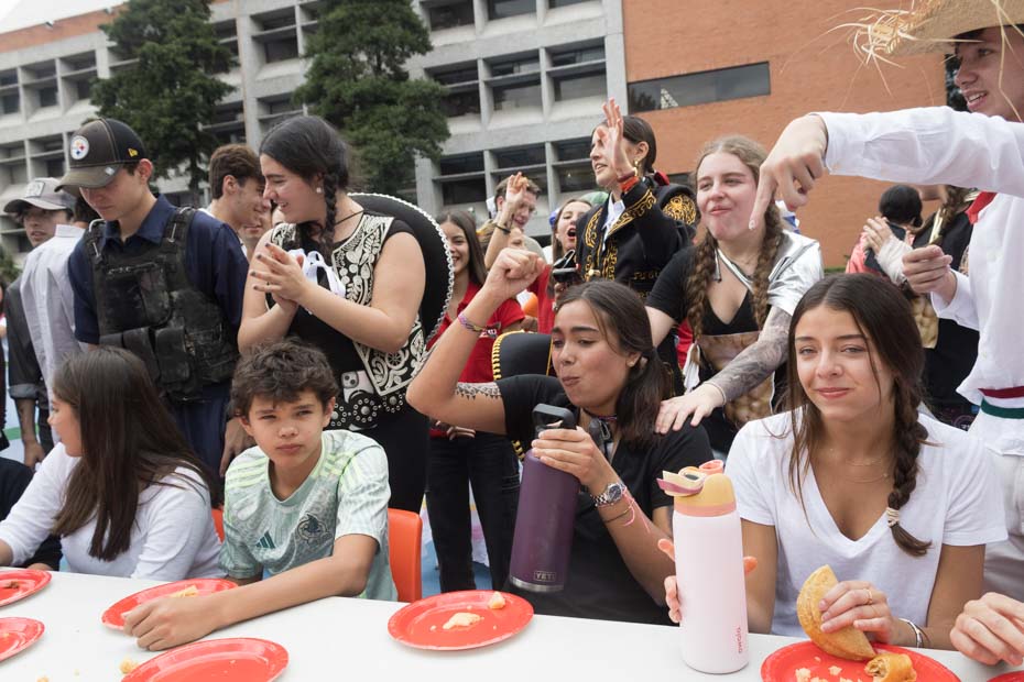 Ir a la Siguiente Foto