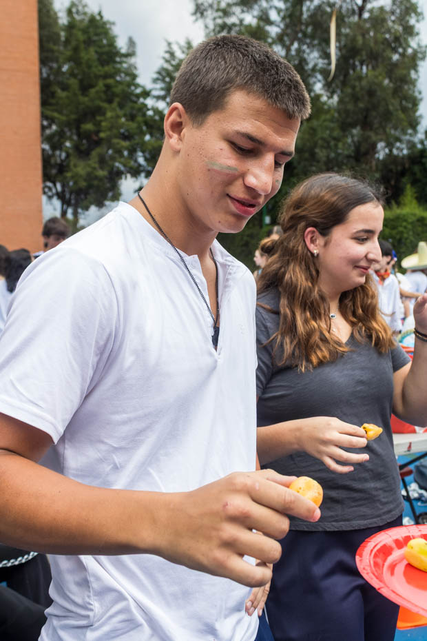 Ir a la Siguiente Foto