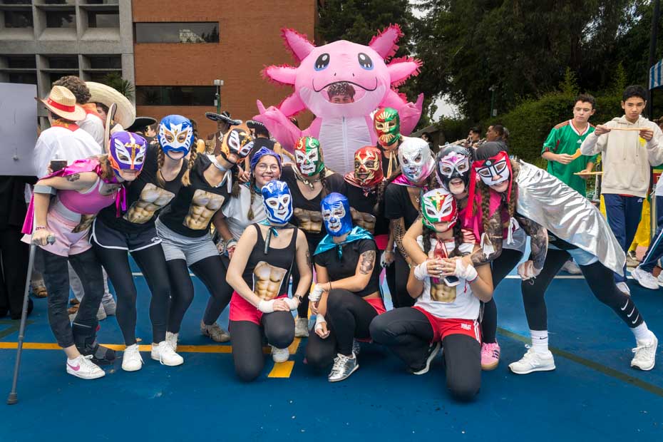 Ir a la Siguiente Foto