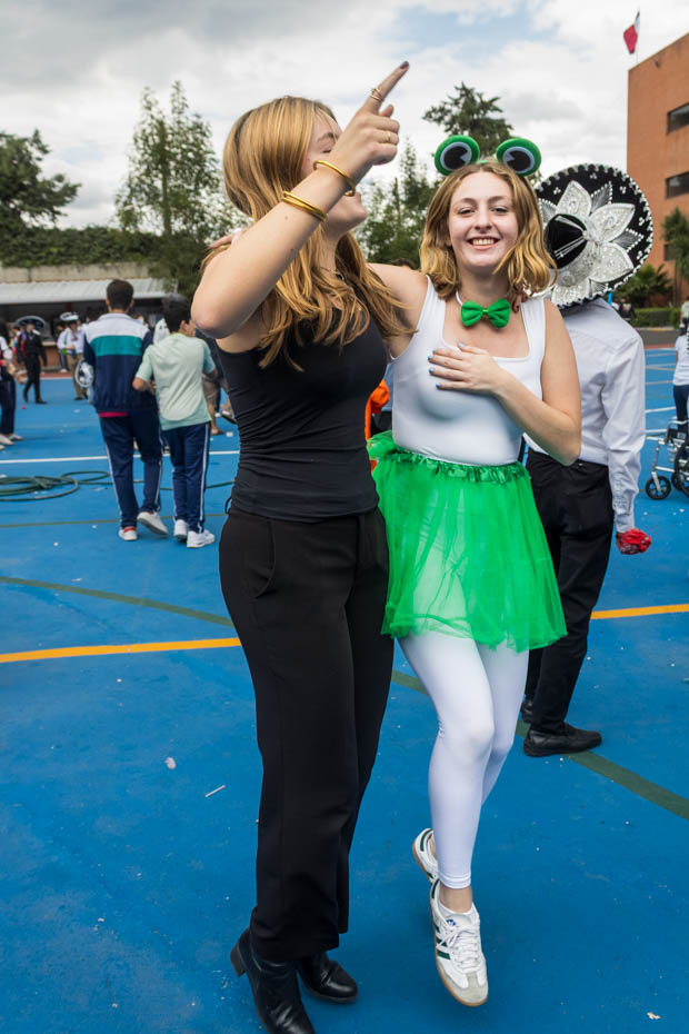 Ir a la Siguiente Foto