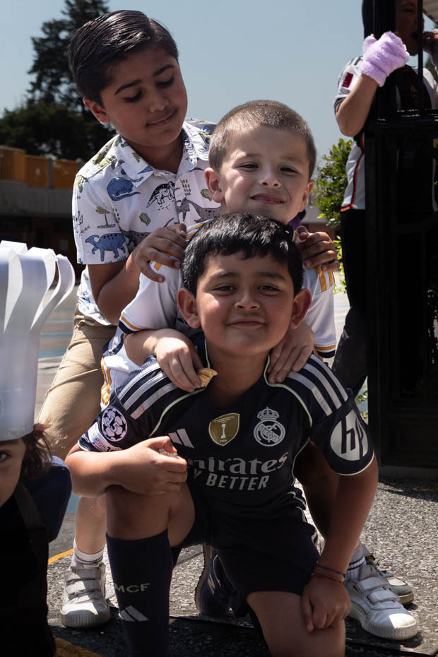 Ir a la Siguiente Foto