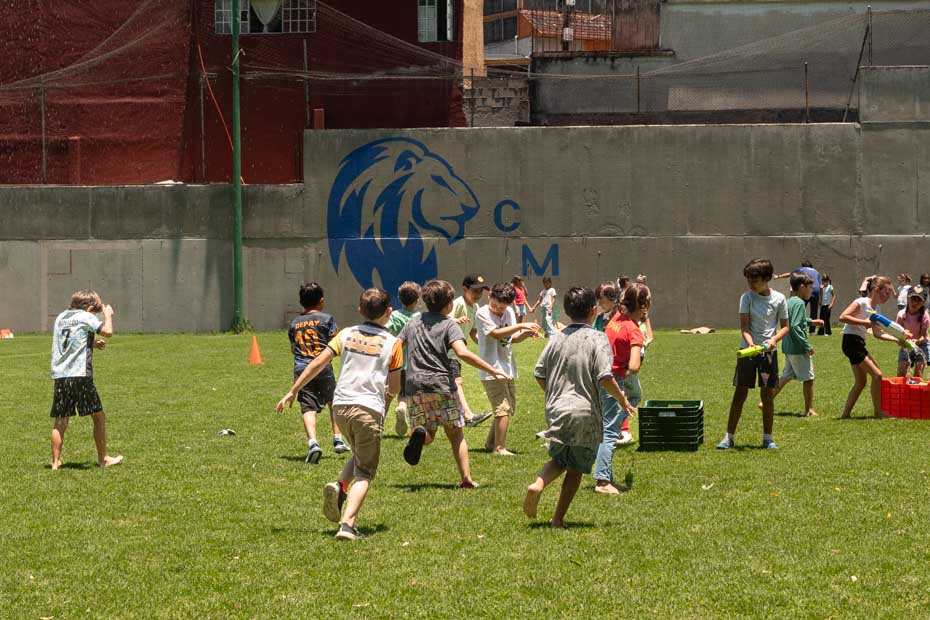 Ir a la Siguiente Foto