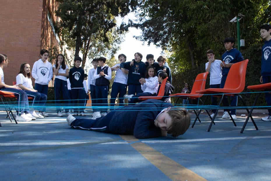 Ir a la Siguiente Foto