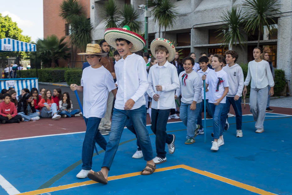 Ir a la Siguiente Foto