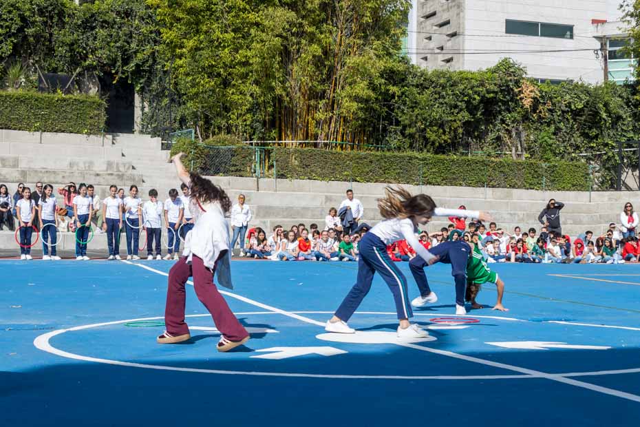 Ir a la Siguiente Foto