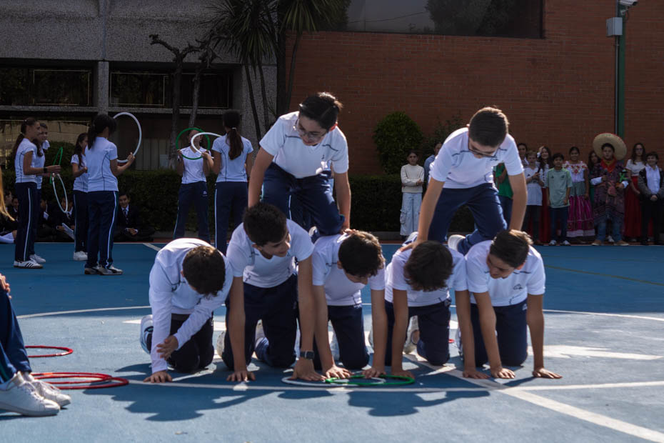 Ir a la Siguiente Foto