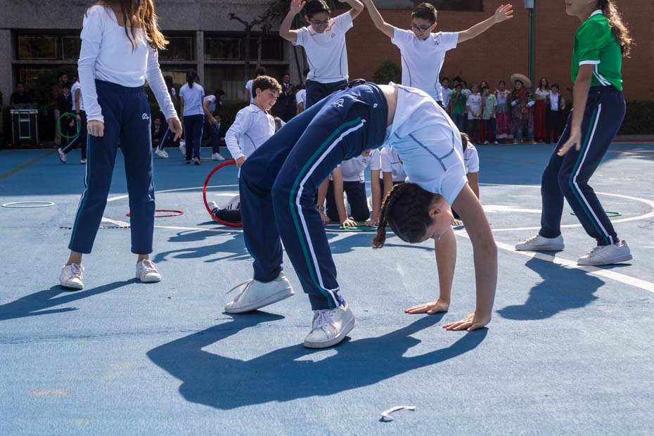 Ir a la Siguiente Foto