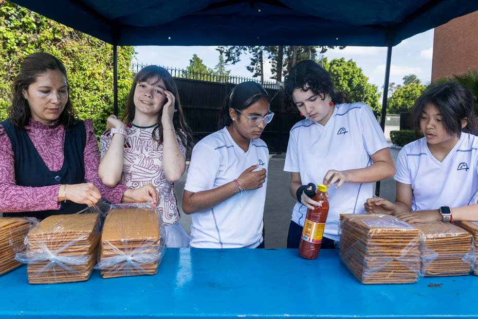 Ir a la Siguiente Foto