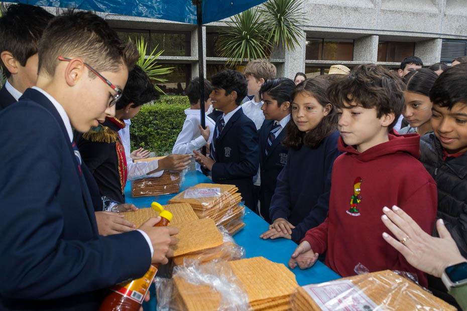 Ir a la Siguiente Foto